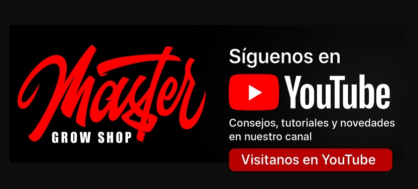 Offer Banner